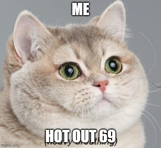 Heavy Breathing Cat | ME; HOT OUT 69 | image tagged in memes,heavy breathing cat | made w/ Imgflip meme maker