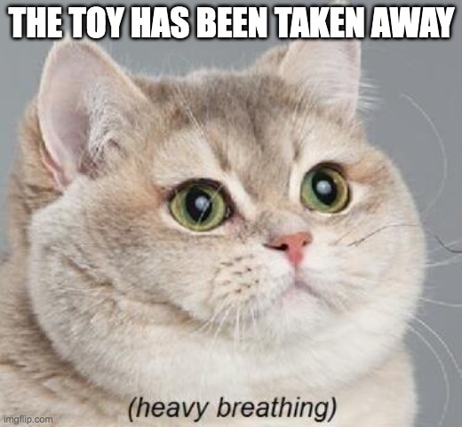 Heavy Breathing Cat | THE TOY HAS BEEN TAKEN AWAY | image tagged in memes,heavy breathing cat | made w/ Imgflip meme maker