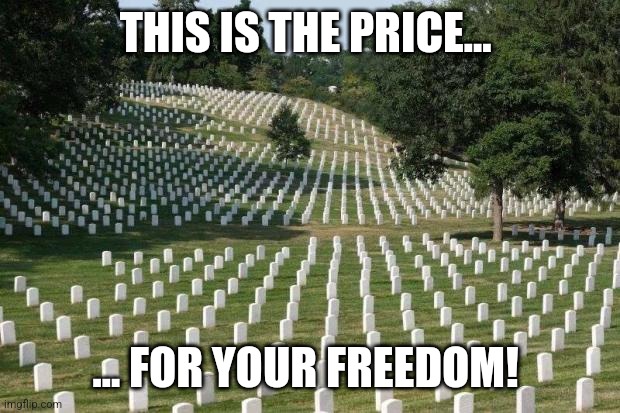 The price is high | THIS IS THE PRICE... ... FOR YOUR FREEDOM! | image tagged in fallen soldiers,memorial day | made w/ Imgflip meme maker