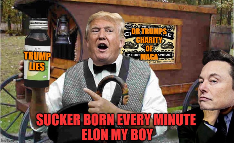 snake oil | TRUMP
LIES SUCKER BORN EVERY MINUTE
 ELON MY BOY DR TRUMPS
CHARITY
OF
MAGA | image tagged in snake oil | made w/ Imgflip meme maker