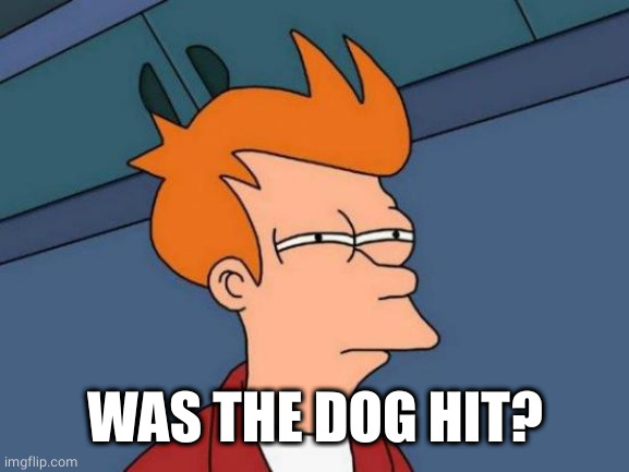 Futurama Fry Meme | WAS THE DOG HIT? | image tagged in memes,futurama fry | made w/ Imgflip meme maker