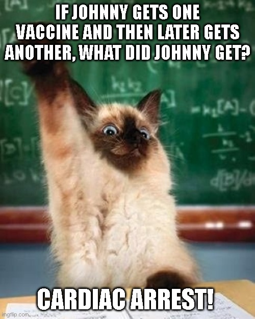 Assuming he was in his 20s and in good health up until an hour earlier, that is. The bloodclot is a variable! | IF JOHNNY GETS ONE VACCINE AND THEN LATER GETS ANOTHER, WHAT DID JOHNNY GET? CARDIAC ARREST! | image tagged in answer cat | made w/ Imgflip meme maker