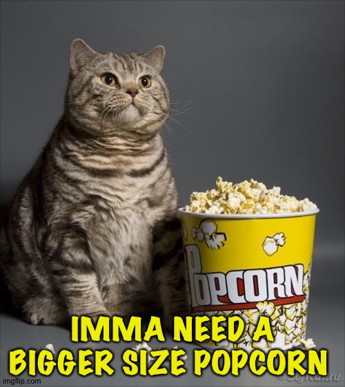 Cat eating popcorn | IMMA NEED A BIGGER SIZE POPCORN | image tagged in cat eating popcorn | made w/ Imgflip meme maker