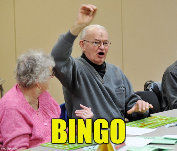 Bingo | BINGO | image tagged in bingo | made w/ Imgflip meme maker