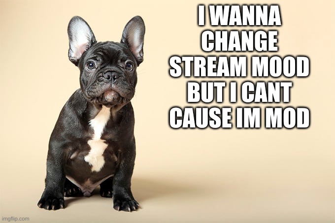 KSDawg | I WANNA CHANGE STREAM MOOD BUT I CANT CAUSE IM MOD | image tagged in ksdawg | made w/ Imgflip meme maker