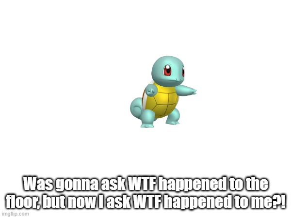 Pokémon Talk Squirtle as a normal Squirtle. | Was gonna ask WTF happened to the floor, but now I ask WTF happened to me?! | image tagged in squirtle,wtf happened to the floor,wtf happened to me,pokemon talk | made w/ Imgflip meme maker