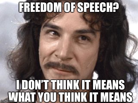 I Do Not Think That Means What You Think It Means | FREEDOM OF SPEECH? I DON’T THINK IT MEANS WHAT YOU THINK IT MEANS | image tagged in i do not think that means what you think it means | made w/ Imgflip meme maker