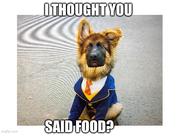 I THOUGHT YOU; SAID FOOD? | image tagged in memes | made w/ Imgflip meme maker