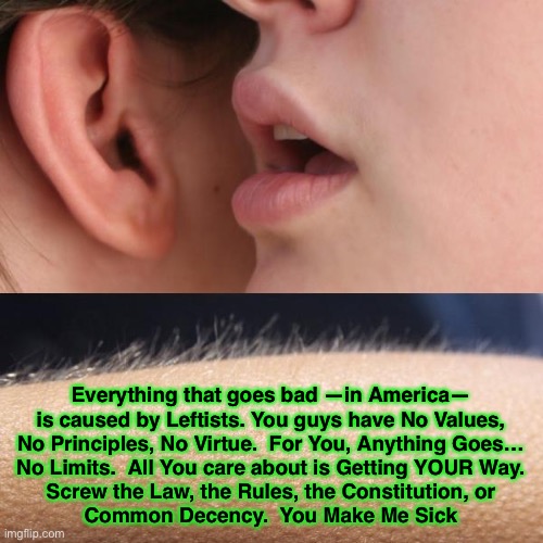 Whisper and Goosebumps | Everything that goes bad —in America—
is caused by Leftists. You guys have No Values,
No Principles, No Virtue.  For You, Anything Goes…
No Limits.  All You care about is Getting YOUR Way.
Screw the Law, the Rules, the Constitution, or
Common Decency.  You Make Me Sick | image tagged in whisper and goosebumps | made w/ Imgflip meme maker