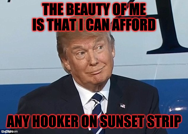 Donald Trump smirk | THE BEAUTY OF ME IS THAT I CAN AFFORD ANY HOOKER ON SUNSET STRIP | image tagged in donald trump smirk | made w/ Imgflip meme maker