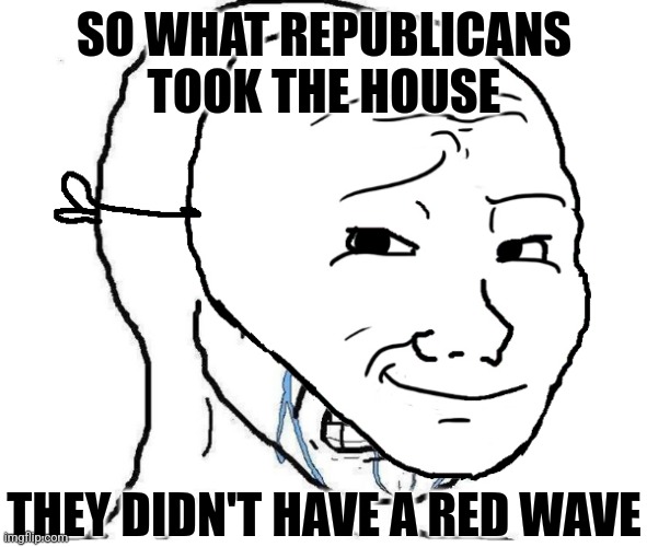 You know it be like this | SO WHAT REPUBLICANS TOOK THE HOUSE; THEY DIDN'T HAVE A RED WAVE | image tagged in wojak mask,democrats,liberals | made w/ Imgflip meme maker