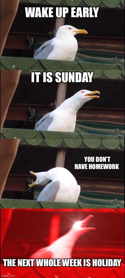 best day ever | WAKE UP EARLY; IT IS SUNDAY; YOU DON’T HAVE HOMEWORK; THE NEXT WHOLE WEEK IS HOLIDAY | image tagged in memes,inhaling seagull | made w/ Imgflip meme maker