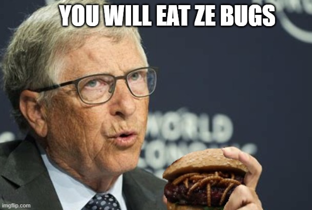 hamburger | YOU WILL EAT ZE BUGS | image tagged in burger | made w/ Imgflip meme maker