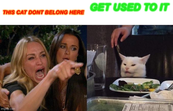 Woman Yelling At Cat | THIS CAT DONT BELONG HERE; GET USED TO IT | image tagged in memes,woman yelling at cat | made w/ Imgflip meme maker