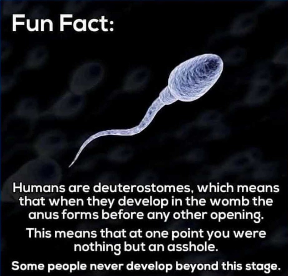 Now this explains a LOT! | image tagged in assholes,asshole,liberal assholes,sperm and egg,uranus,butthole | made w/ Imgflip meme maker