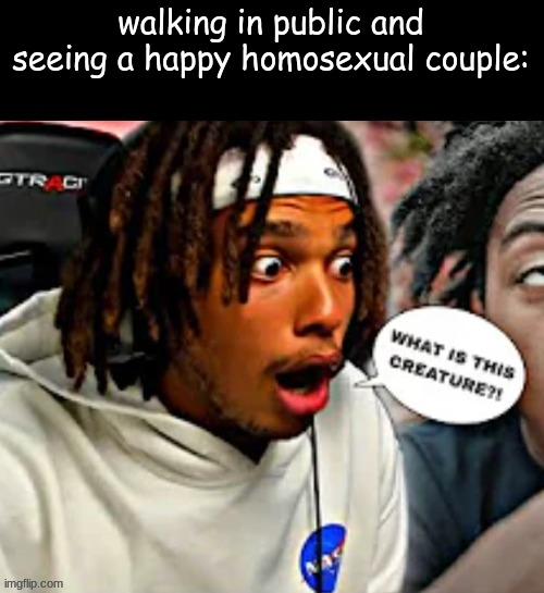 it YOUR job to walk up to them and ruin their day | walking in public and seeing a happy homosexual couple: | made w/ Imgflip meme maker