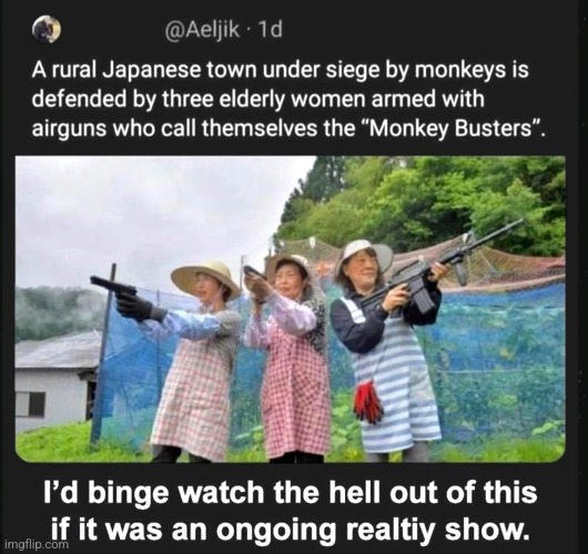 image tagged in funny memes | made w/ Imgflip meme maker