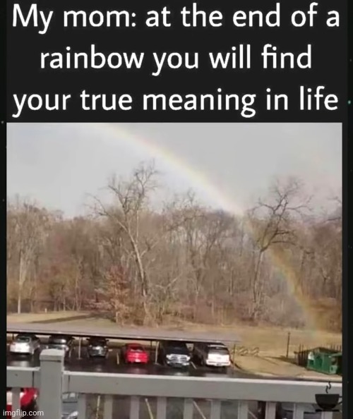 image tagged in funny memes | made w/ Imgflip meme maker