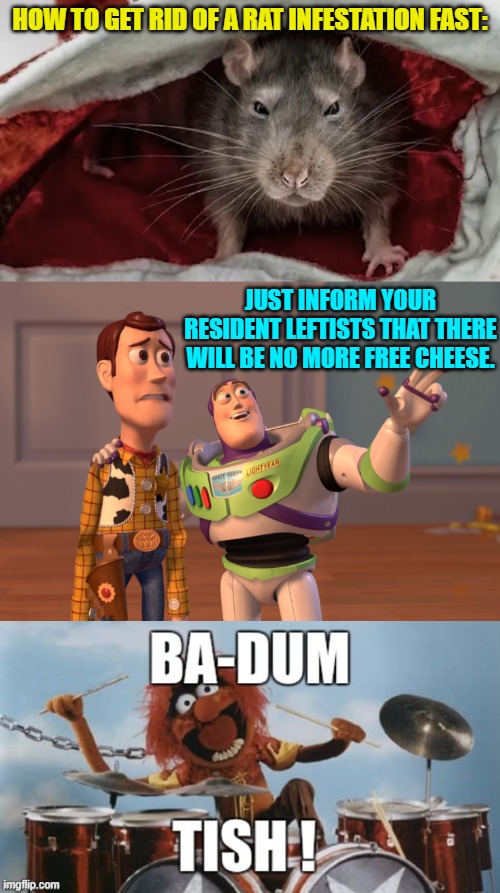 Sometimes you reach for the low hanging fruit. | HOW TO GET RID OF A RAT INFESTATION FAST:; JUST INFORM YOUR RESIDENT LEFTISTS THAT THERE WILL BE NO MORE FREE CHEESE. | image tagged in truth | made w/ Imgflip meme maker