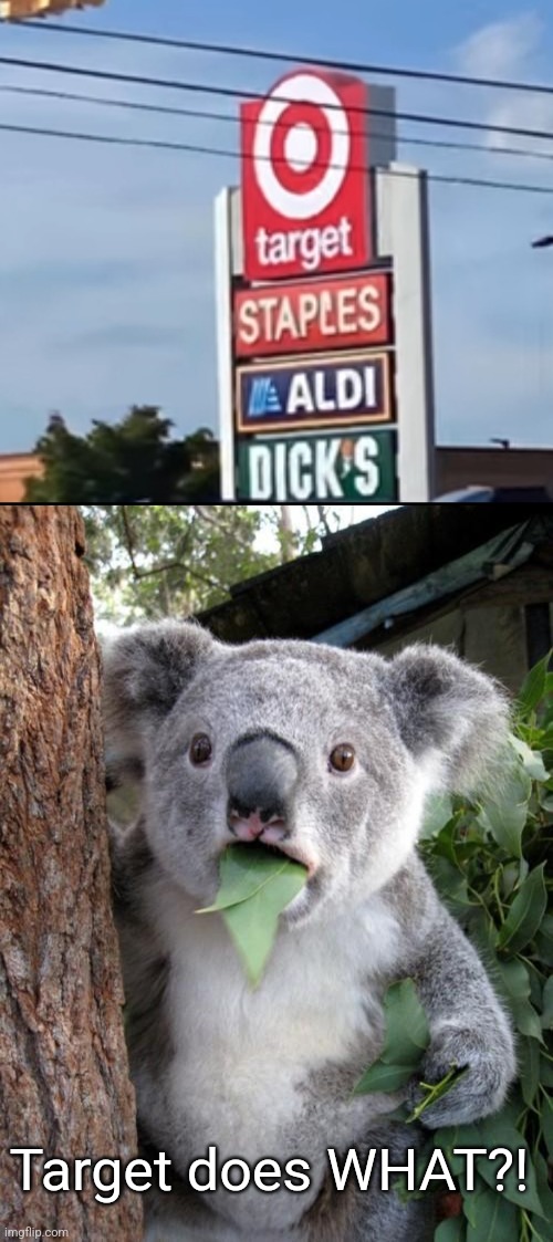 Target does WHAT?! | image tagged in memes,surprised koala | made w/ Imgflip meme maker