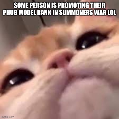 lmao only in summoners war | SOME PERSON IS PROMOTING THEIR PHUB MODEL RANK IN SUMMONERS WAR LOL | image tagged in smug asf cat or shit idk im dumb | made w/ Imgflip meme maker