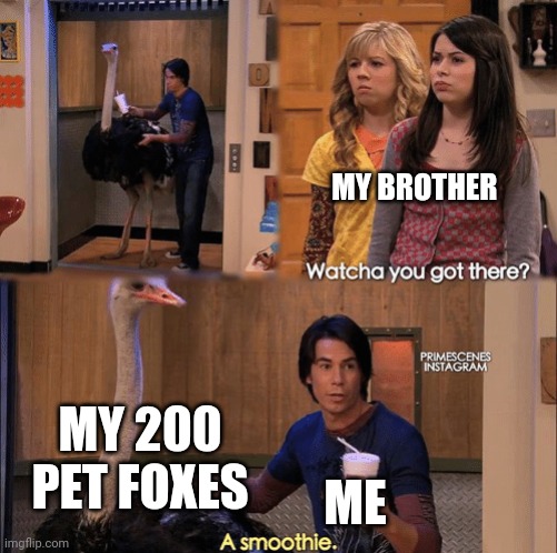Foxes are the cutest mobs in Minecraft | MY BROTHER; MY 200 PET FOXES; ME | image tagged in what you got there,minecraft,foxes,cute,memes,funny | made w/ Imgflip meme maker