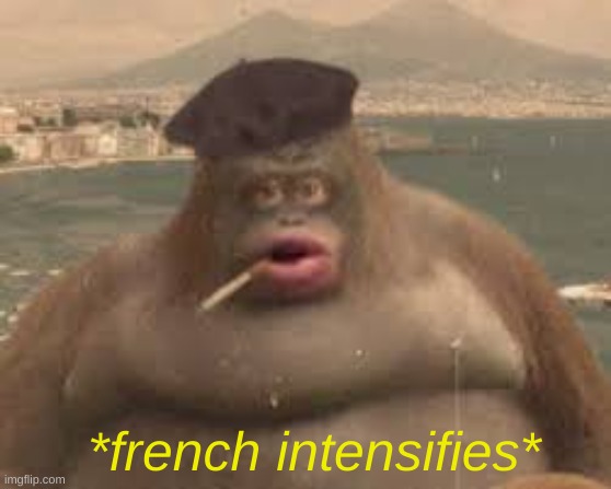 quassont | *french intensifies* | image tagged in le monke | made w/ Imgflip meme maker