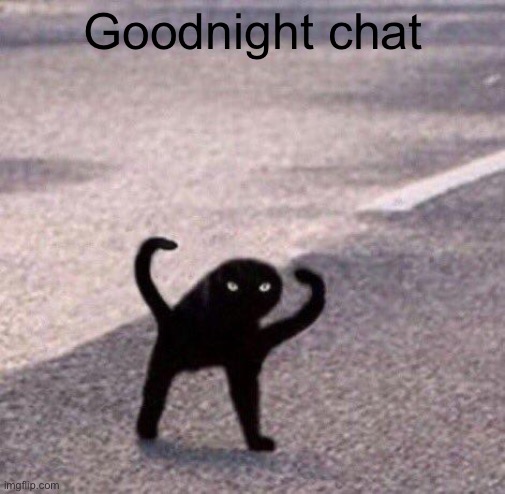 Cursed cat temp | Goodnight chat | image tagged in cursed cat temp | made w/ Imgflip meme maker
