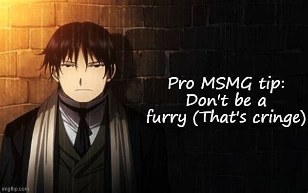 Bubonic's loading screen tips #3 | Pro MSMG tip:
Don't be a furry (That's cringe) | image tagged in roy mustang | made w/ Imgflip meme maker