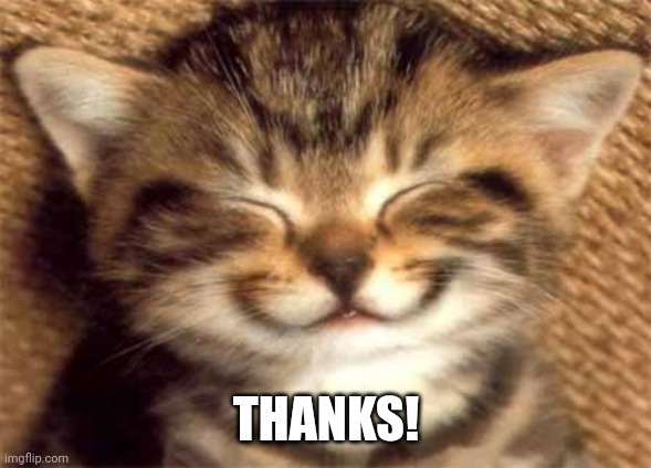 Thank you | THANKS! | image tagged in thank you | made w/ Imgflip meme maker