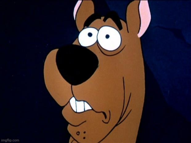 Scared Scooby | image tagged in scared scooby | made w/ Imgflip meme maker