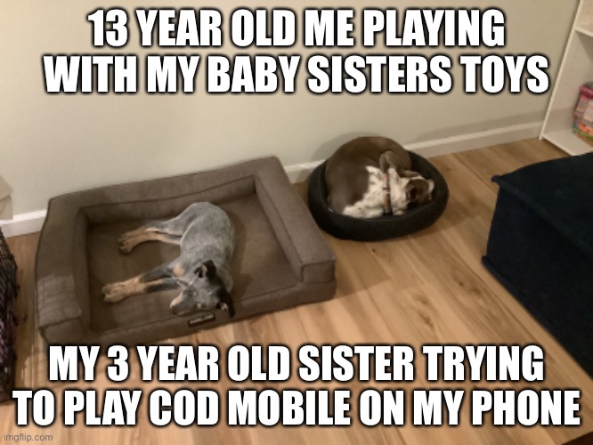 Backwards | 13 YEAR OLD ME PLAYING WITH MY BABY SISTERS TOYS; MY 3 YEAR OLD SISTER TRYING TO PLAY COD MOBILE ON MY PHONE | image tagged in so true | made w/ Imgflip meme maker
