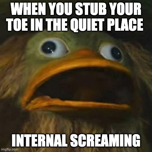 true tho | WHEN YOU STUB YOUR TOE IN THE QUIET PLACE; INTERNAL SCREAMING | image tagged in duck on crack | made w/ Imgflip meme maker