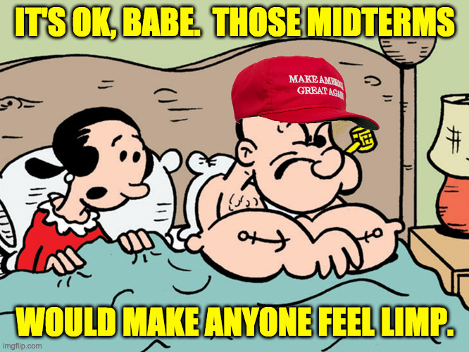 Electile dysfunction. | IT'S OK, BABE.  THOSE MIDTERMS; WOULD MAKE ANYONE FEEL LIMP. | image tagged in memes,electile dysfunction | made w/ Imgflip meme maker