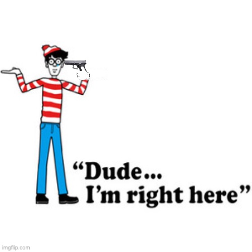 why is it always where's Wally but never how's Wally | image tagged in waldo | made w/ Imgflip meme maker