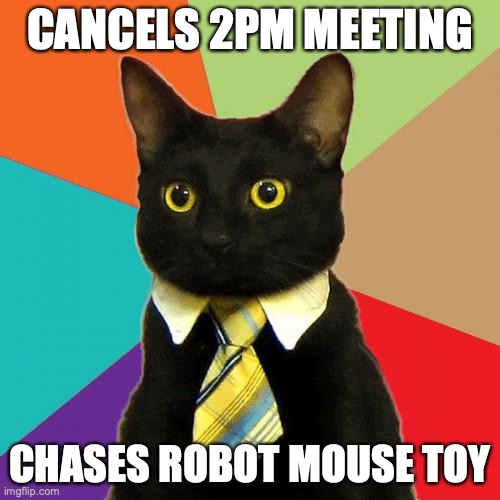 cats | CANCELS 2PM MEETING; CHASES ROBOT MOUSE TOY | image tagged in memes,business cat | made w/ Imgflip meme maker