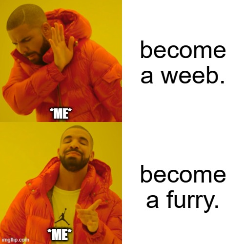 Me choosing my weird interests | become a weeb. *ME*; become a furry. *ME* | image tagged in memes,drake hotline bling | made w/ Imgflip meme maker