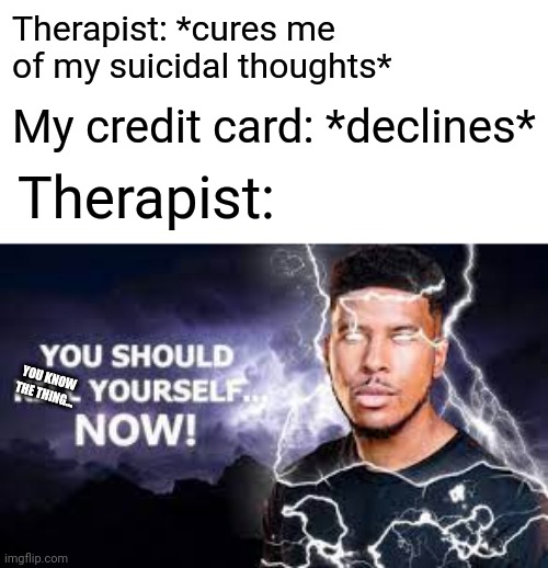 Lol | Therapist: *cures me of my suicidal thoughts*; My credit card: *declines*; Therapist:; YOU KNOW THE THING... | image tagged in you should kill yourself now | made w/ Imgflip meme maker