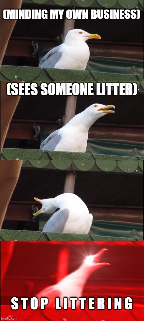 when you litter | (MINDING MY OWN BUSINESS); (SEES SOMEONE LITTER); S T O P   L I T T E R I N G | image tagged in memes,inhaling seagull | made w/ Imgflip meme maker