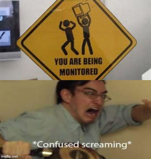 You Are Being Monitored | image tagged in confused,confused screaming,memes | made w/ Imgflip meme maker