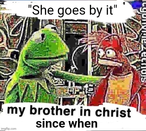 My brother in Christ | "She goes by it" since when | image tagged in my brother in christ | made w/ Imgflip meme maker