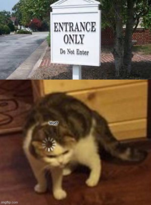 Wot? | image tagged in loading cat | made w/ Imgflip meme maker