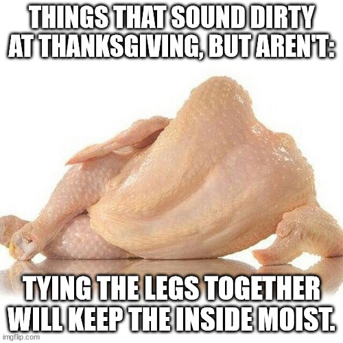 Things That Sound Dirty At Thanksgiving (Part 1) | THINGS THAT SOUND DIRTY AT THANKSGIVING, BUT AREN'T:; TYING THE LEGS TOGETHER WILL KEEP THE INSIDE MOIST. | image tagged in foxy turkey,dad joke,double entendre,funny,humor | made w/ Imgflip meme maker