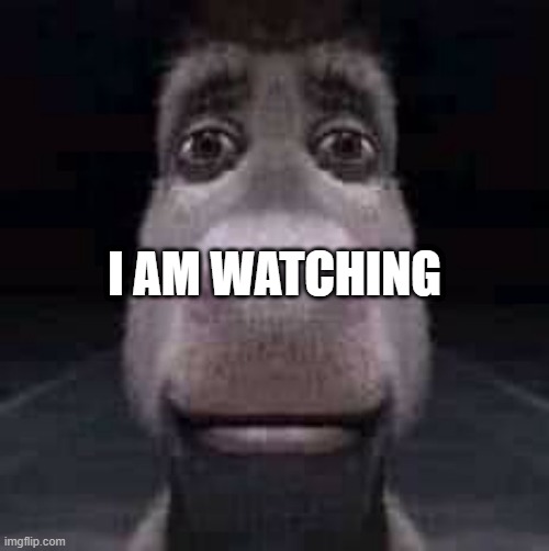 Donkey staring | I AM WATCHING | image tagged in donkey staring | made w/ Imgflip meme maker