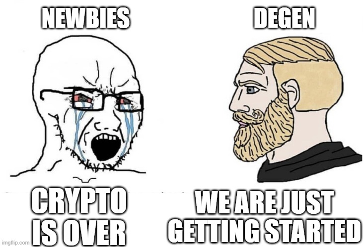 Soyboy Vs Yes Chad | NEWBIES; DEGEN; CRYPTO IS OVER; WE ARE JUST GETTING STARTED | image tagged in soyboy vs yes chad | made w/ Imgflip meme maker