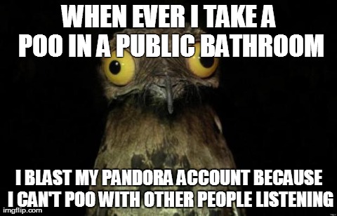 WHEN EVER I TAKE A POO IN A PUBLIC BATHROOM I BLAST MY PANDORA ACCOUNT BECAUSE I CAN'T POO WITH OTHER PEOPLE LISTENING | image tagged in potoo | made w/ Imgflip meme maker