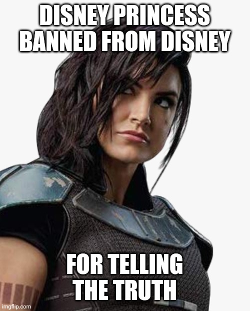 Disney Princess BANNED from Disney | DISNEY PRINCESS BANNED FROM DISNEY; FOR TELLING THE TRUTH | image tagged in gina carano | made w/ Imgflip meme maker