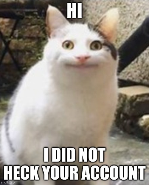 Truth or Lie | HI; I DID NOT HECK YOUR ACCOUNT | image tagged in beluga cat sus,beluga,funny cat | made w/ Imgflip meme maker