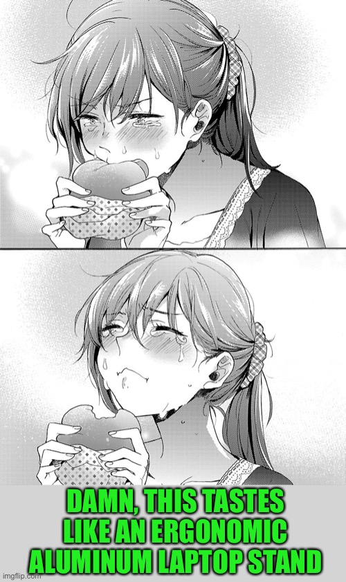 anime girl eating burger crying | DAMN, THIS TASTES LIKE AN ERGONOMIC ALUMINUM LAPTOP STAND | image tagged in anime girl eating burger crying | made w/ Imgflip meme maker