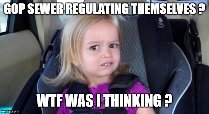 wtf girl | GOP SEWER REGULATING THEMSELVES ? WTF WAS I THINKING ? | image tagged in wtf girl | made w/ Imgflip meme maker